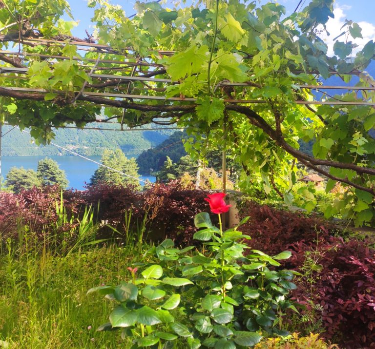 Cozy apartment with garden and lake view – Tremezzina