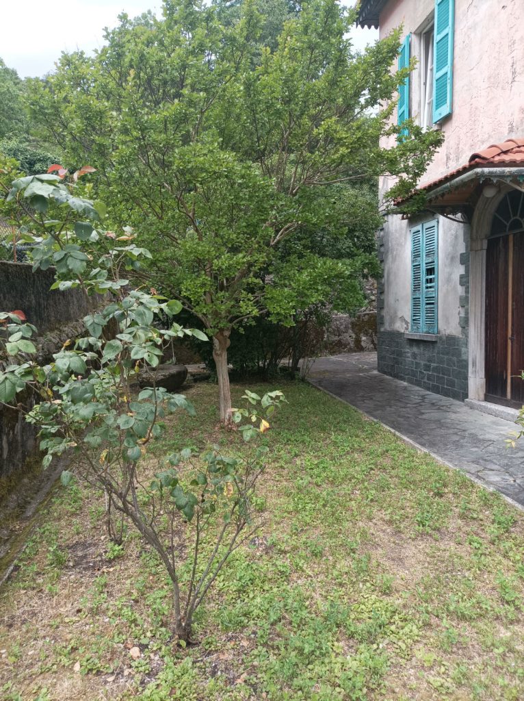 Freistehendes Haus – Grandola Ed Uniti – Foto 5