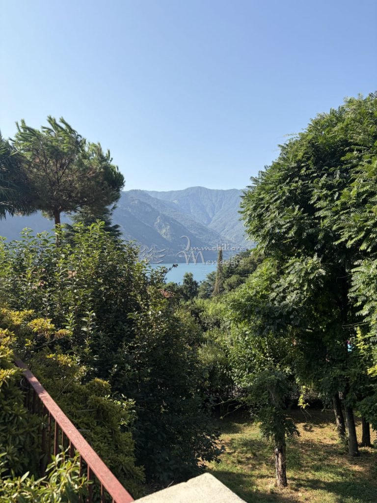 Private villa with garden – Tremezzina – Photo 4